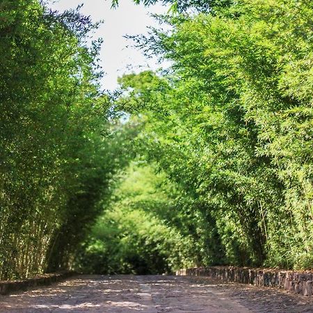 Pousada Bosque Do Lapao レンソイス エクステリア 写真