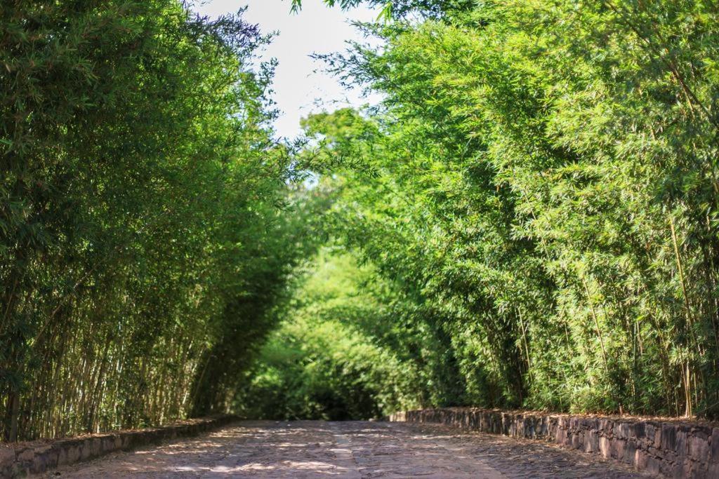 Pousada Bosque Do Lapao レンソイス エクステリア 写真